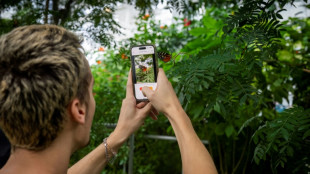 Canada AI project hopes to help reverse mass insect extinction