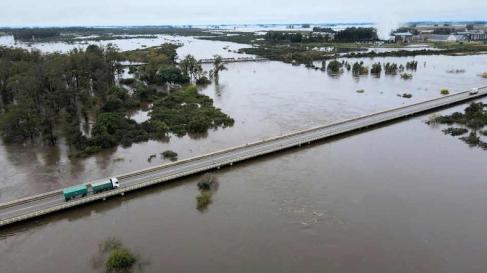 Uruguai decreta emergência agropecuária no leste por excesso hídrico