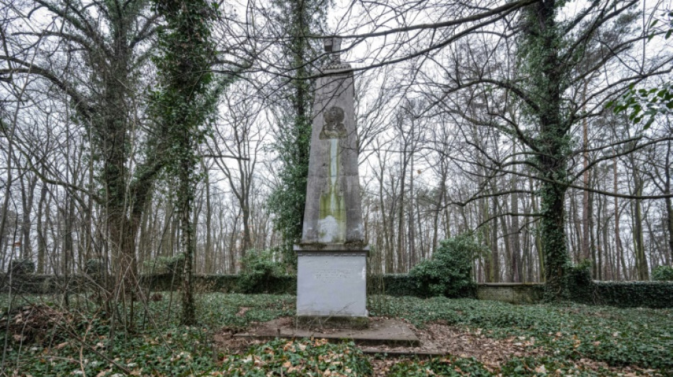 Sous le lierre, le "cimetière des fous" de Prague cache des légendes
