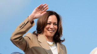 Democratas começam votação para confirmar a candidatura de Kamala Harris