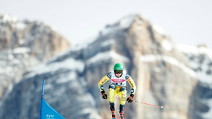 Nächster Podestplatz: Skicrosser Wilmsmann wird Zweiter