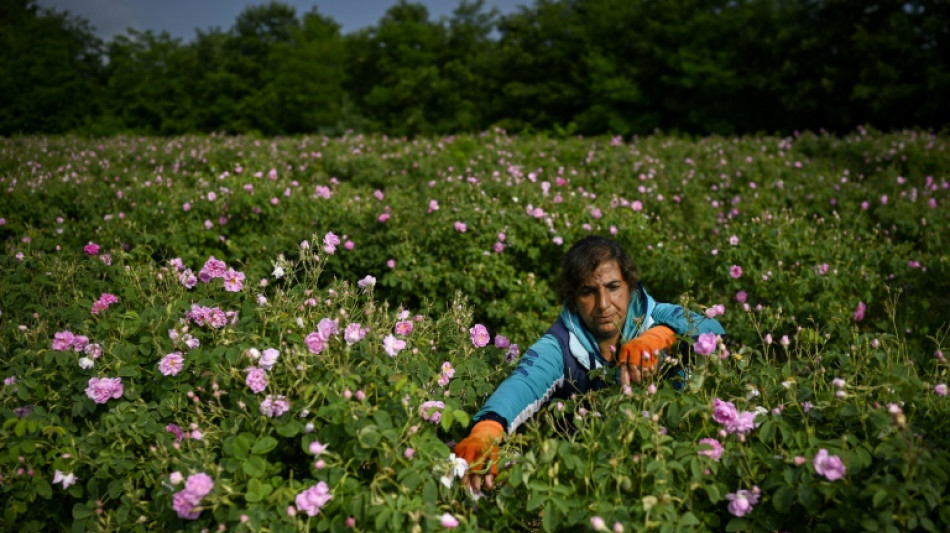 L'inflation de l'énergie, une épine dans le pied des roses bulgares