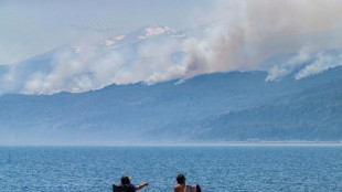 Denuncian intencionalidad en incendio que sigue arrasando parque en Argentina