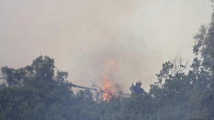 Incendio Roma: evacuati palazzi e Osservatorio astronomico