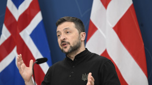 Zelensky, 'Trump vuole tregua?Sarebbe presidente perdente'