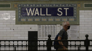 Wall Street en ordre dispersé après deux séances de gains