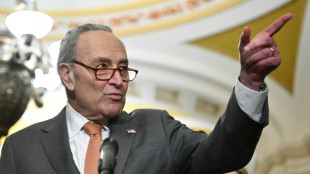 US-Senatschef Schumer fordert Neuwahl in Israel