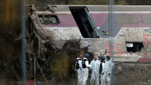 L'heure de la décision au procès de l'accident du TGV Est