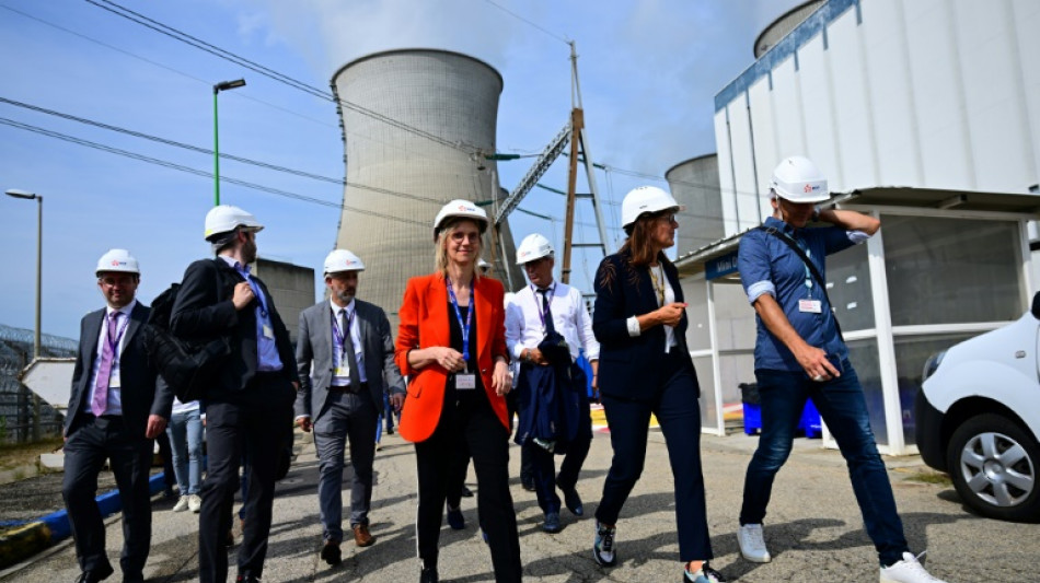 Frankreich und Niederlande vereinbaren Zusammenarbeit beim Ausbau von Atomkraft 