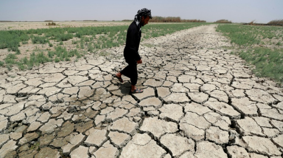 Emissions cuts can slash heat deaths in Mideast, N. Africa: study