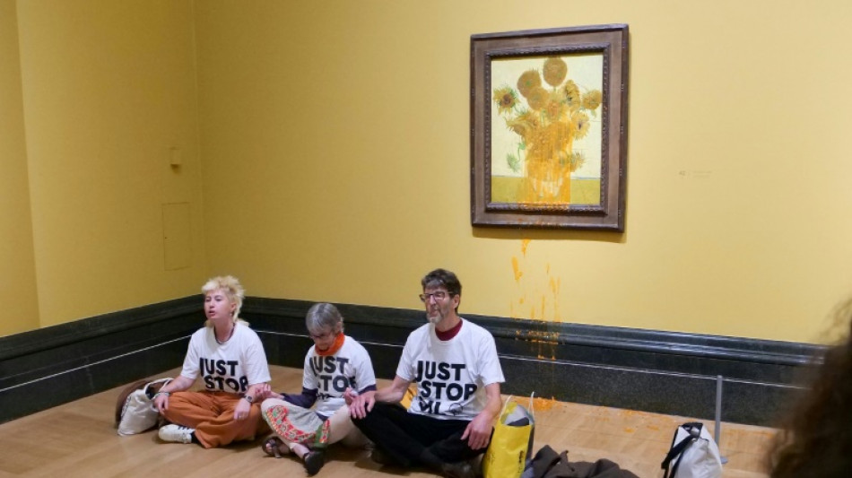 Van Gogh 'Sunflowers' in new soup protest after activists jailed