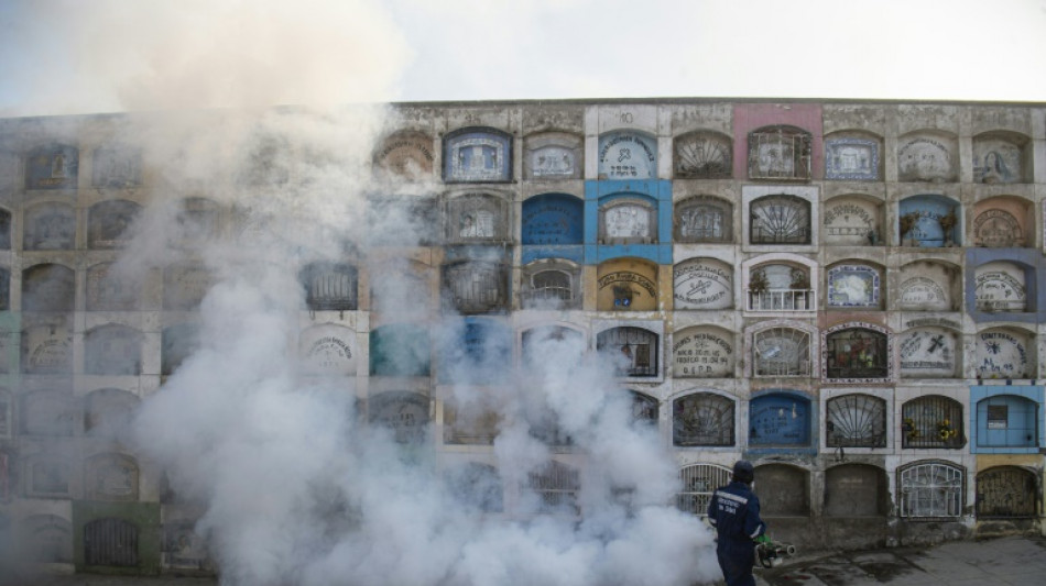 Fumigan el cementerio más grande de Sudamérica para controlar el dengue en Perú