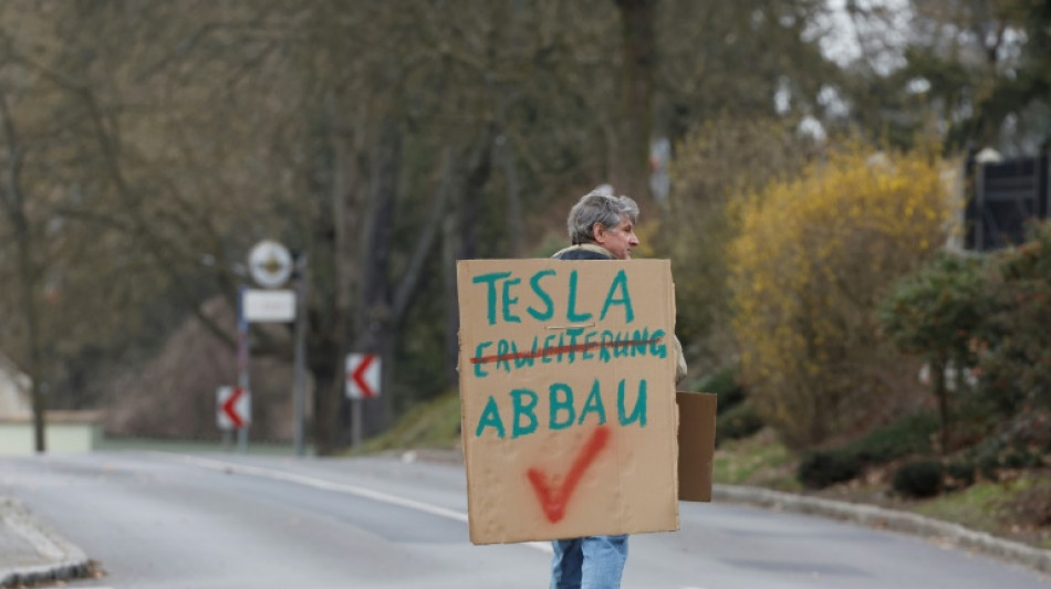 Unos activistas protestan contra la ampliación de la planta alemana de Tesla