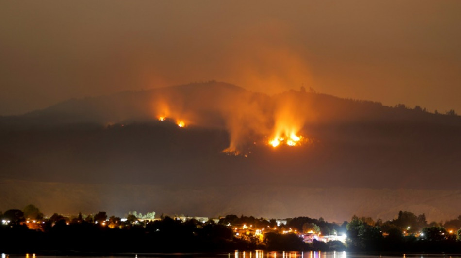 Decretan toque de queda en zonas de incendios en Chile