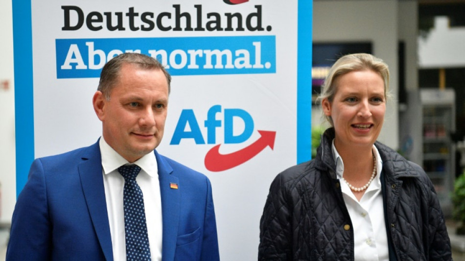 AfD will zum Abschluss von Parteitag inhaltliche Weichenstellungen vornehmen