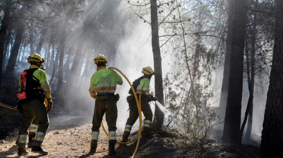 Le nord de l'Espagne ravagé par une centaine d'incendies criminels