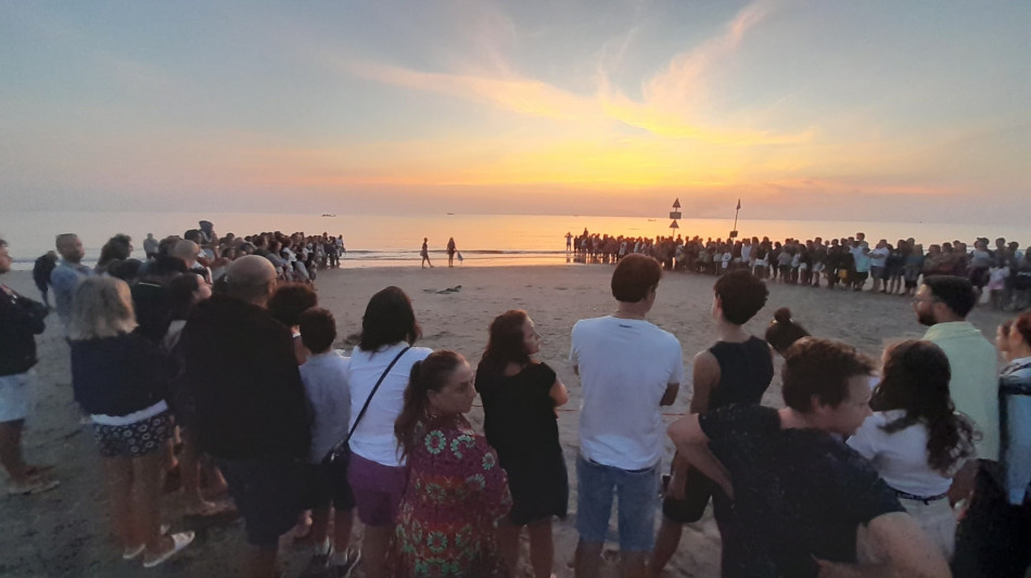 Folla a Riccione per il rilascio in mare della tartaruga Arianna