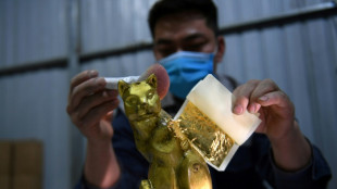 Why Vietnam is celebrating the Year of the Cat, not the Rabbit