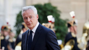 Le Maire s'engage à faire baisser de 10 à 15% la facture d'électricité en février 2025