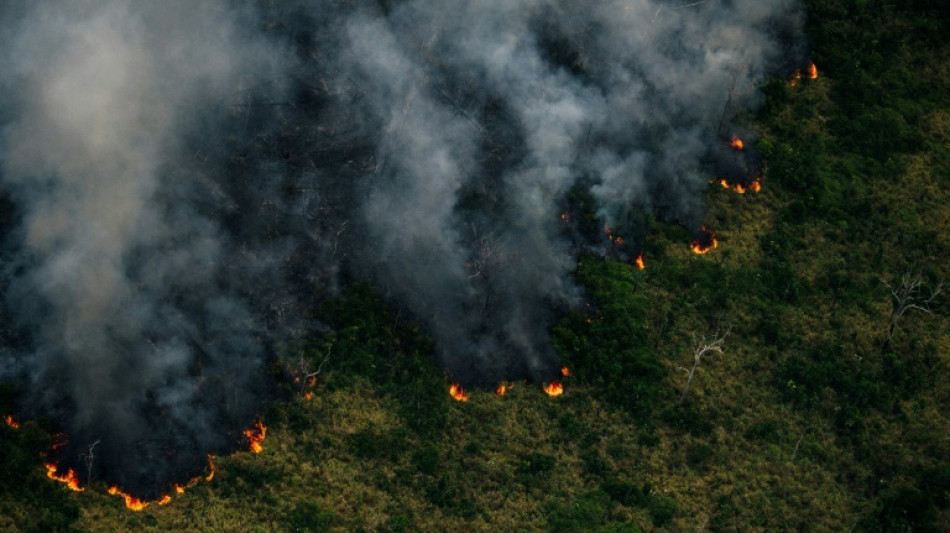 Fires increase in Brazilian Amazon in July