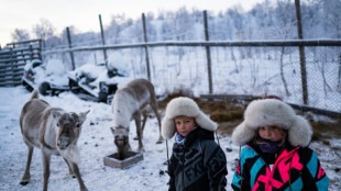 Young Sami return to reindeer herding despite climate fears