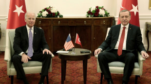 Erdogan to meet Biden for crunch NATO expansion talks