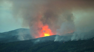 Incêndio em parque destrói 2.000 hectares na Argentina em meio a alerta de calor