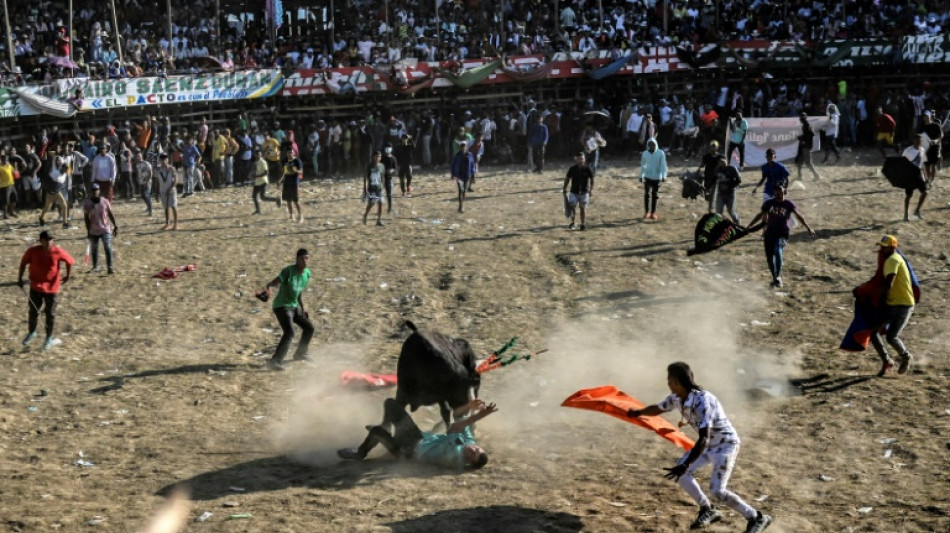 Colombia's bull fighting custom under fire for animal abuse