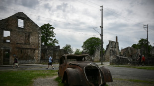 França tenta salvar cidade símbolo dos massacres nazistas