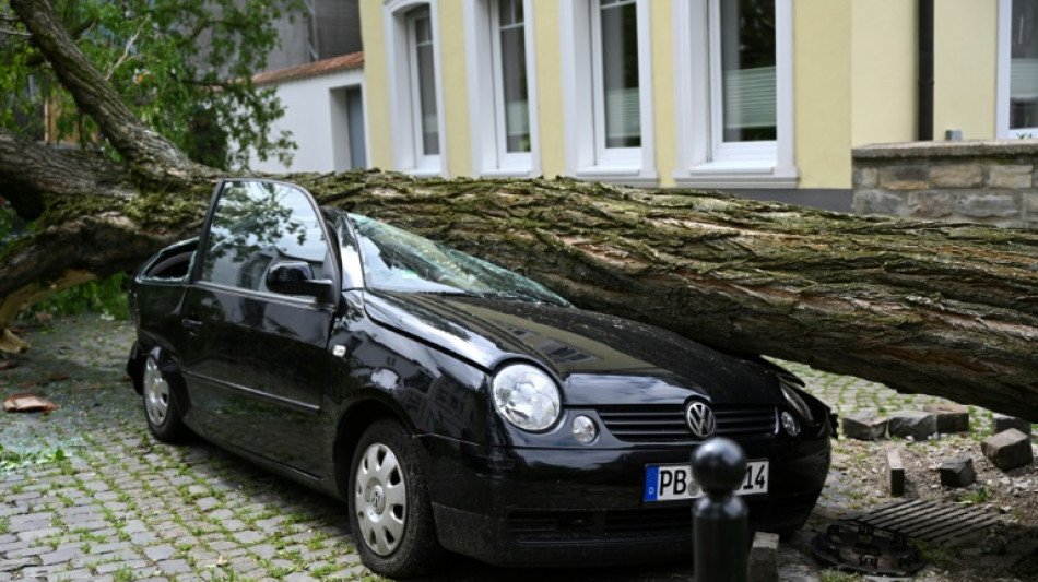 Preise für Autoversicherungen variieren stark - auch unabhängig vom Unfallrisiko