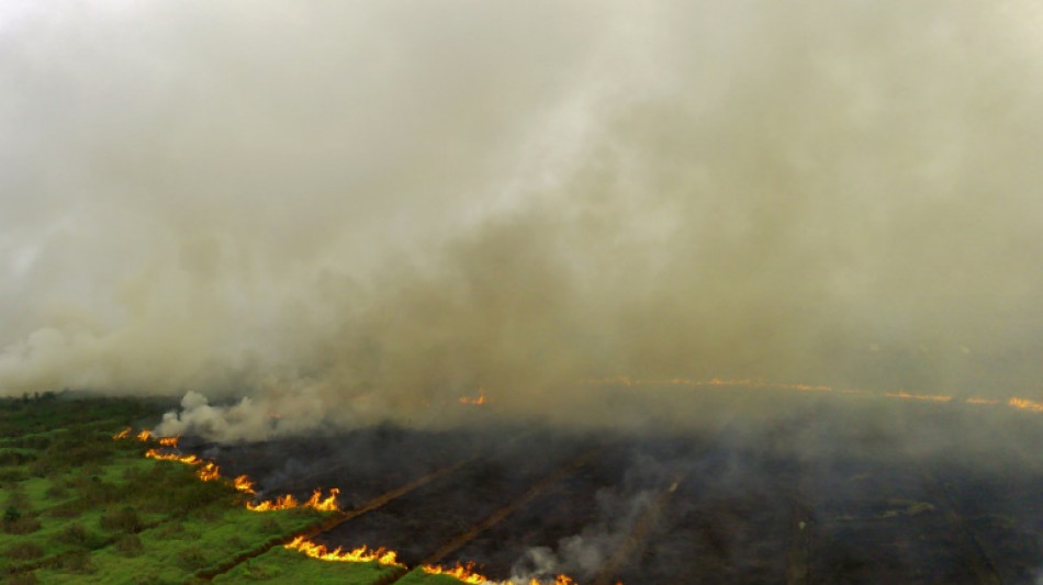 Indonesian city closes schools over peatland fire haze