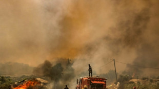 Morocco firefighters battle infernos as villagers flee