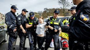 Schwedische Klimaaktivistin Thunberg bei Protest in Den Haag zweimal festgenommen