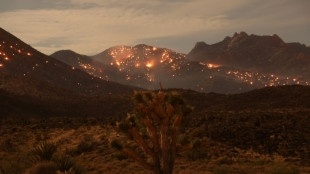 Un énorme incendie en Californie et au Nevada provoque des tornades de feu