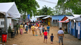 MSF retoma atención a migrantes en selva panameña del Darién