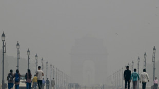 Pollution: fermeture des écoles dans une capitale indienne asphyxiée