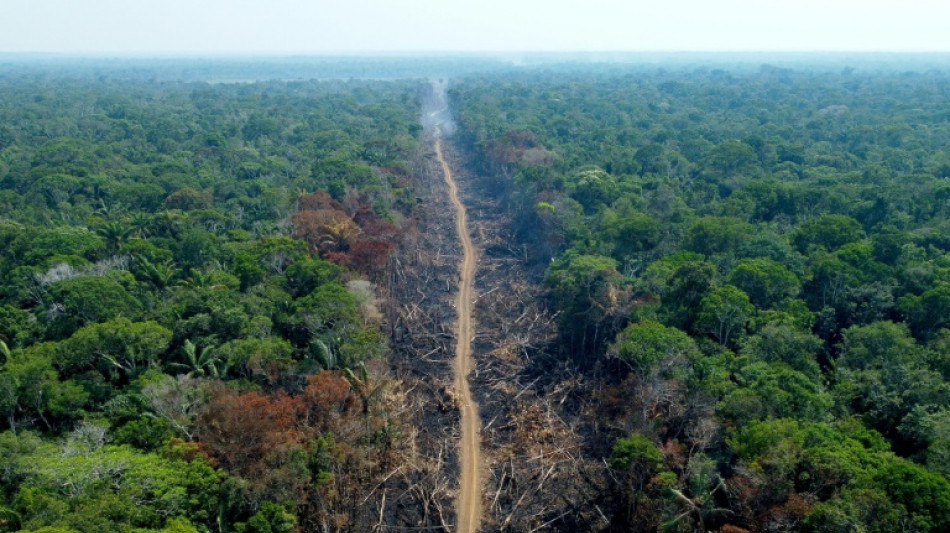 Brasil precisa investir 0,5% do PIB para atingir metas climáticas, diz Banco Mundial