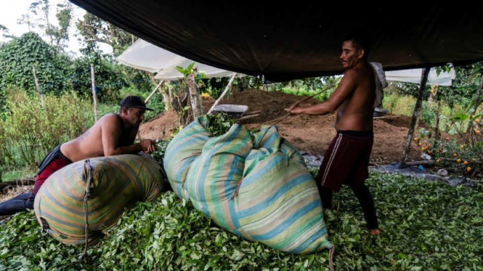 La insospechada crisis del negocio de la cocaína en Colombia