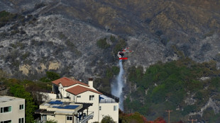 Incendios en Los Ángeles: los vientos amainan, las críticas se multiplican