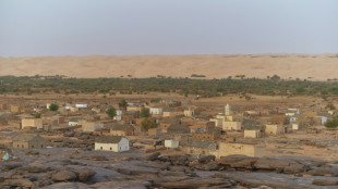 Internationale Konferenz zu Krisenregion Sahel in Berlin beginnt