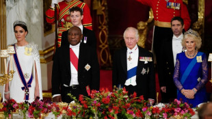 Climat: en visite d'Etat à Londres, le président sud-africain demande l'aide des pays riches