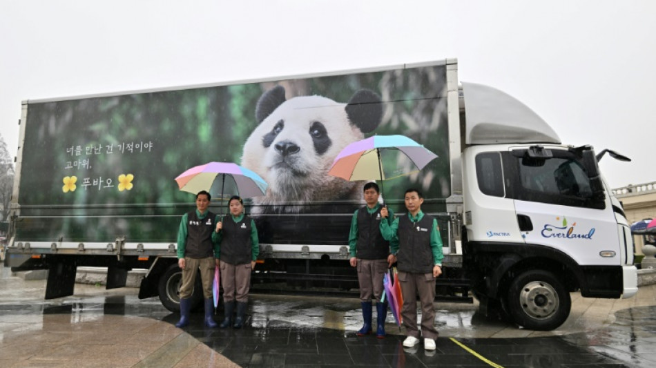 S Korean fans bid farewell to internet-famous panda Fu Bao