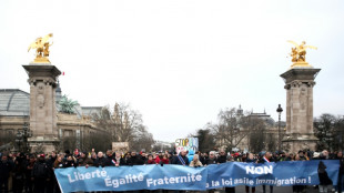 Zehntausende protestieren in Frankreich gegen verschärftes Einwanderungsgesetz