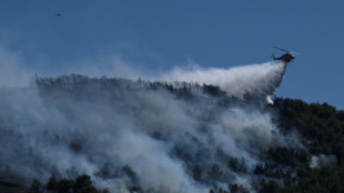 Greece fights dozens of wildfires in 'most difficult day of year'