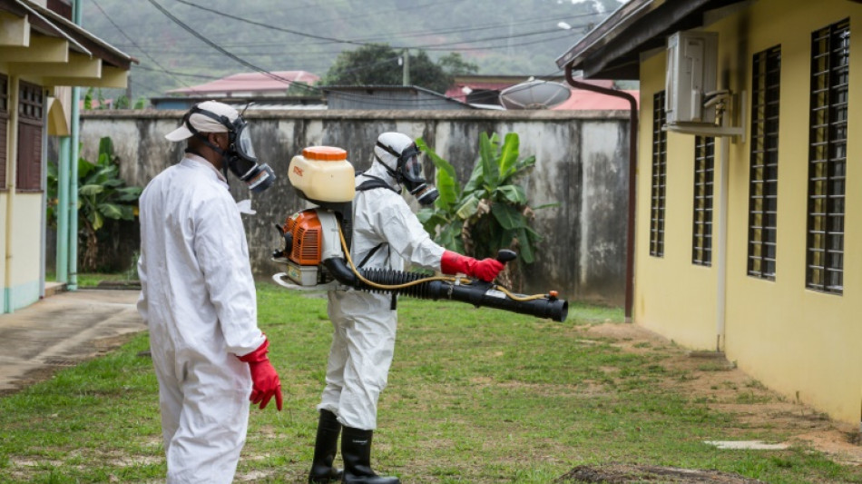 La Guyane confrontée à sa plus importante épidémie de dengue depuis 20 ans