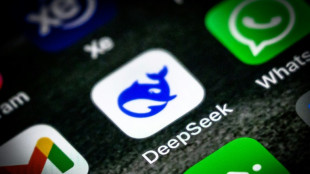 Italien fordert Informationen zur Verwendung von Nutzerdaten bei Deepseek