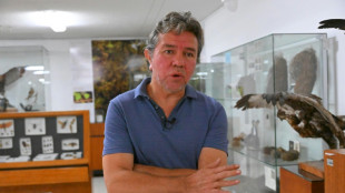 Hunt for rare bird shows how Ecuador narco violence impedes research