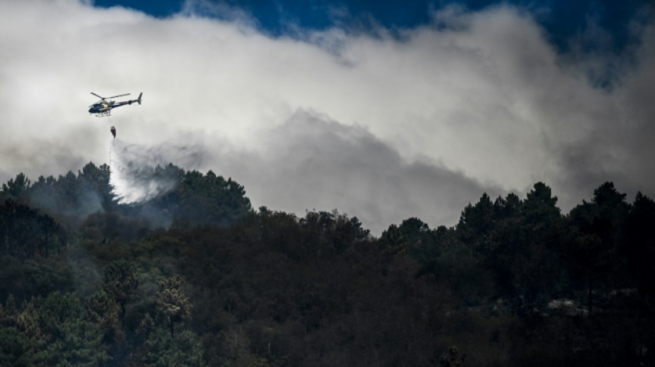 Alarmzustand in Portugal wegen Waldbrandgefahr 