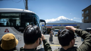 Japon: début de la construction d'un filet pour cacher une vue sur le Mont Fuji