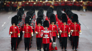 UK military urged to stop using bearskin hats on cost grounds